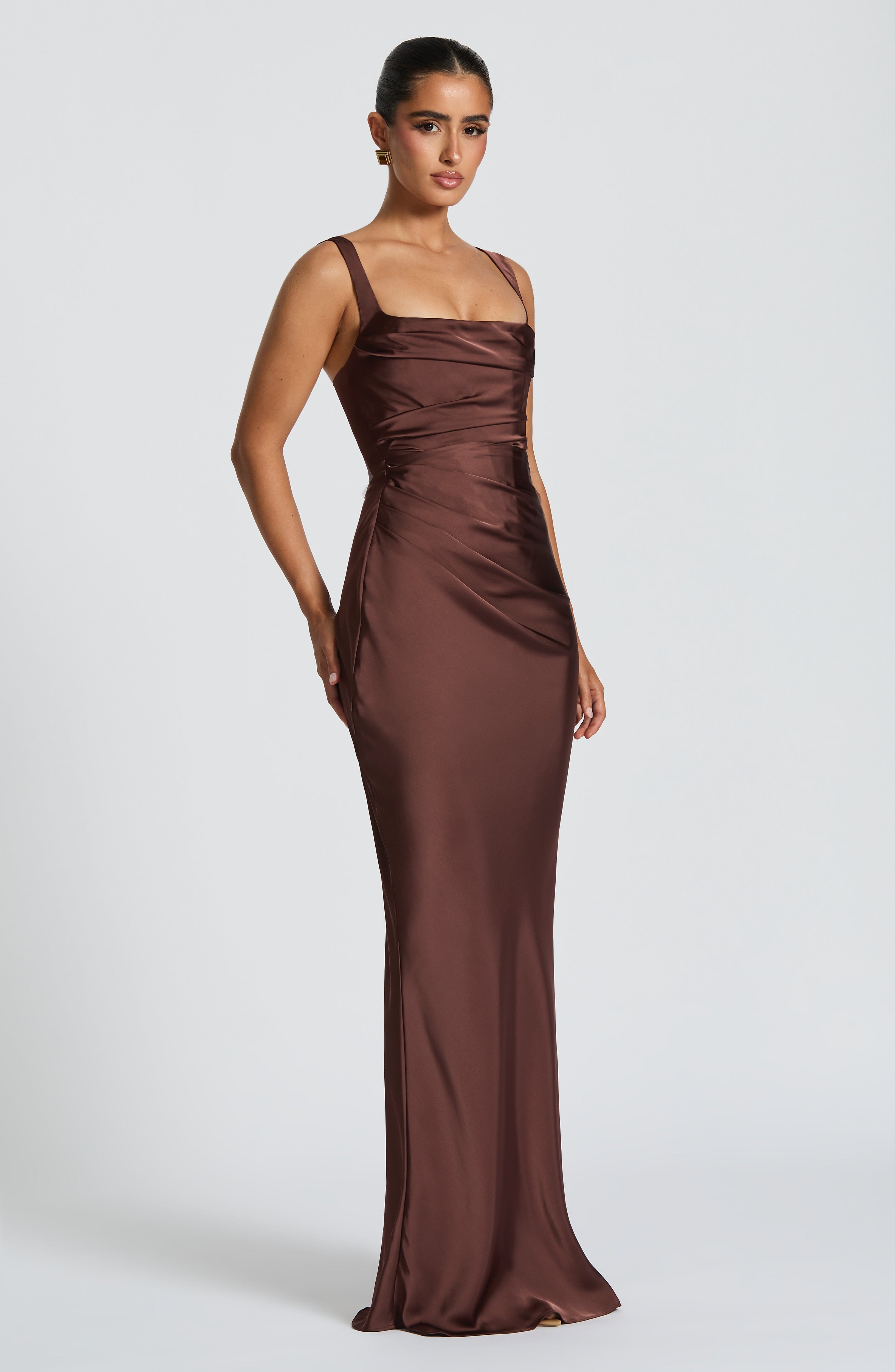 Calanthe Plum Brown Maxi Dress