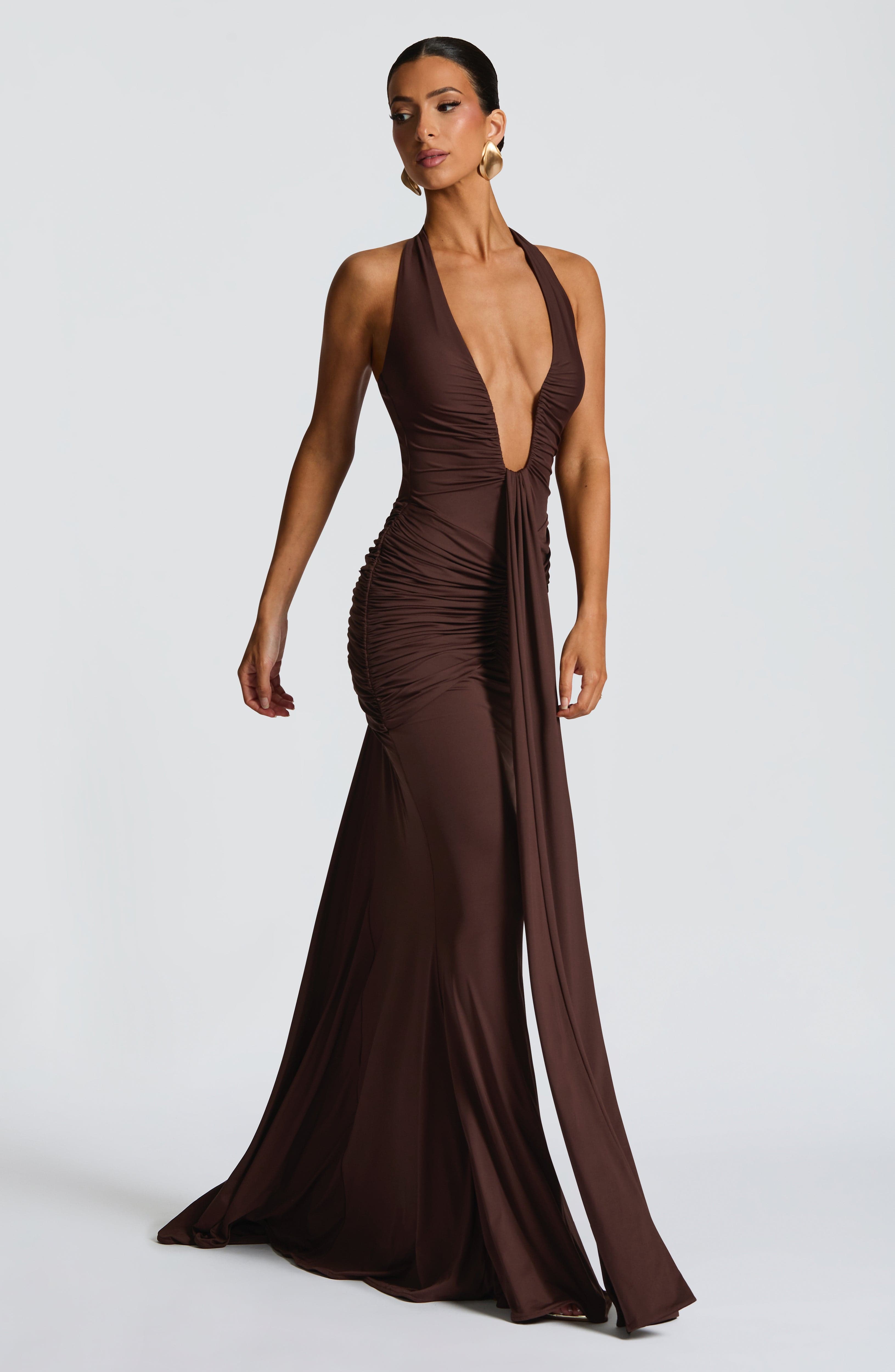 Rosetta Plum Brown Maxi Dress