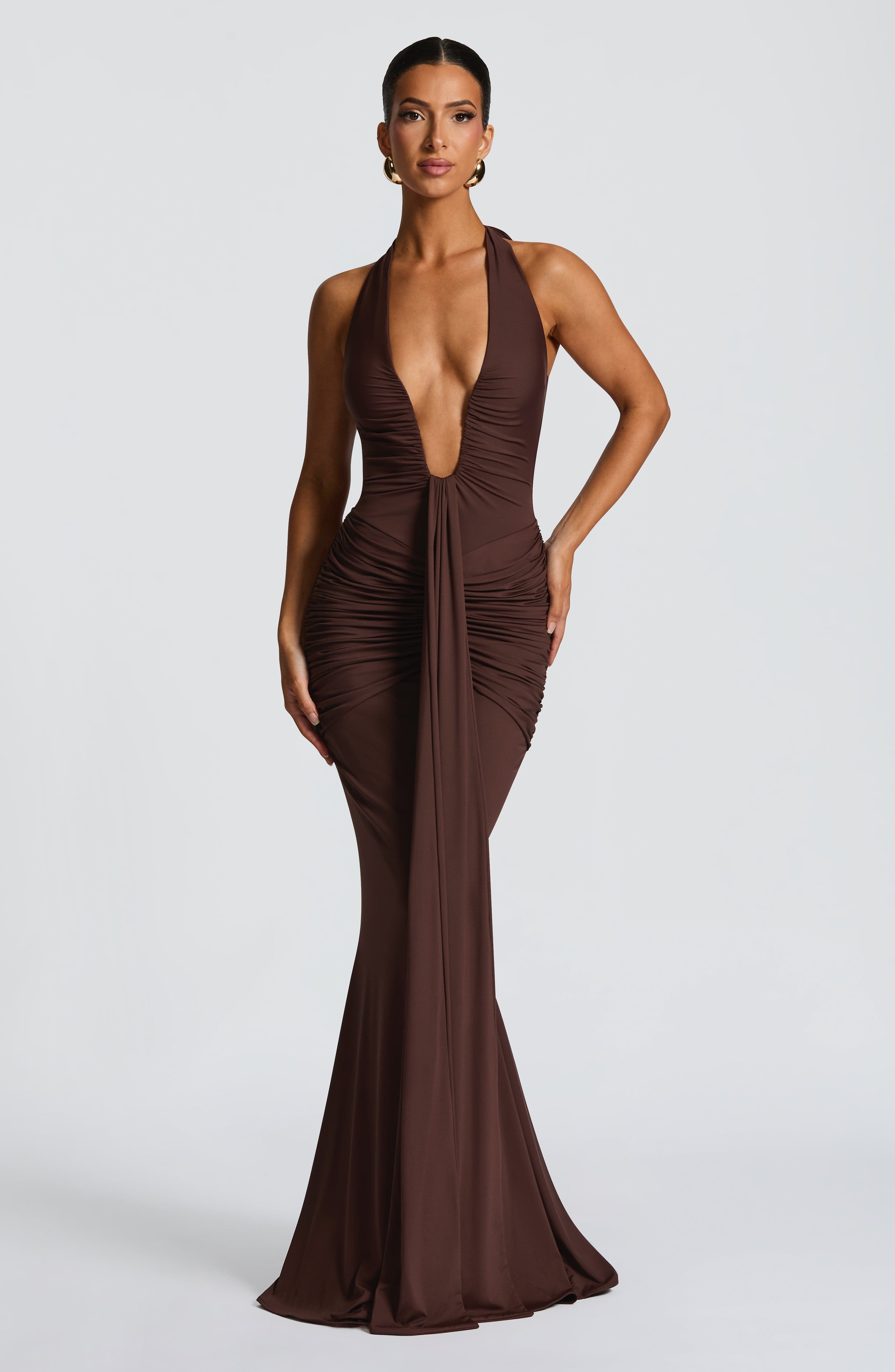 Rosetta Plum Brown Maxi Dress