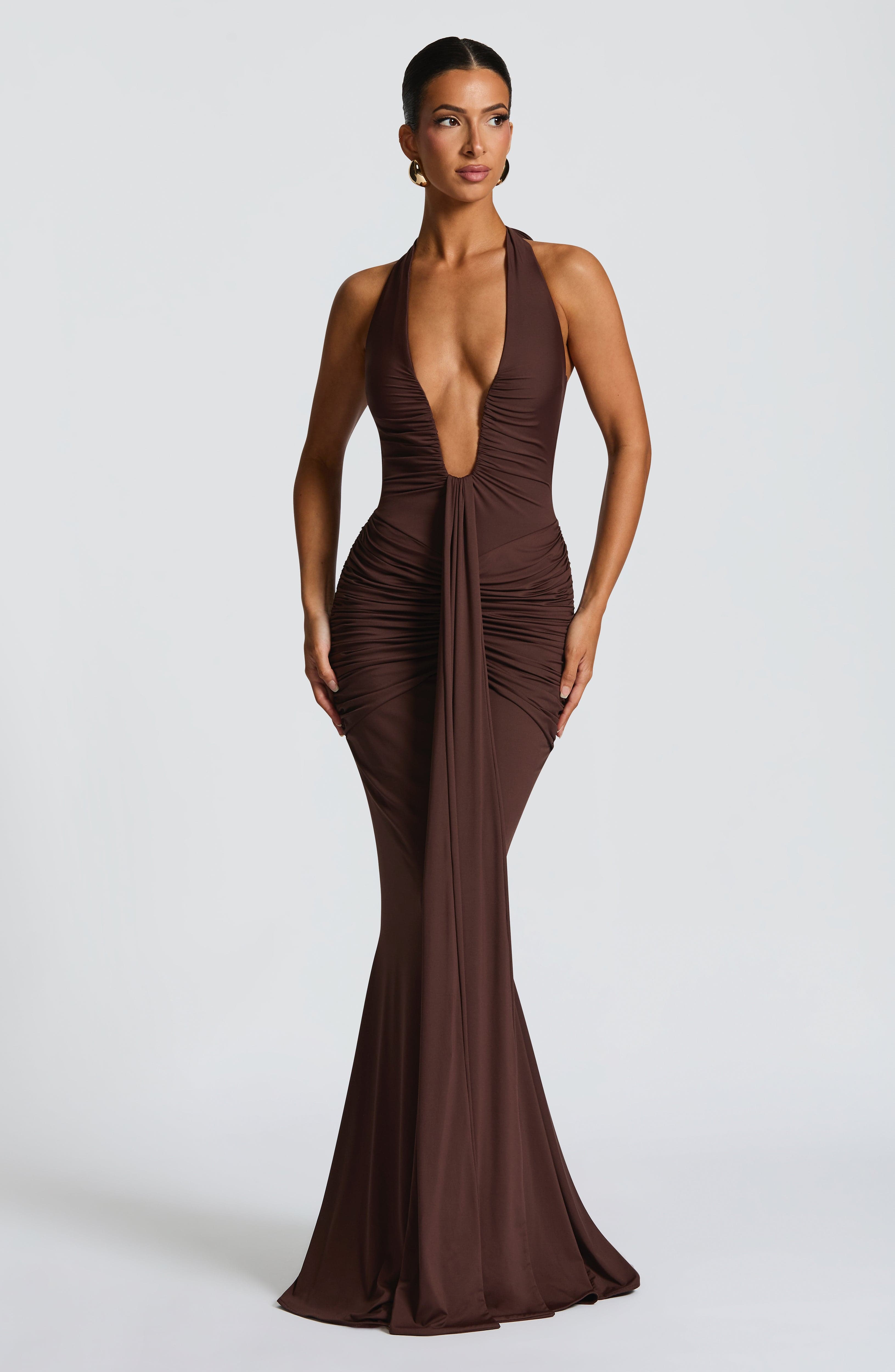 Rosetta Plum Brown Maxi Dress