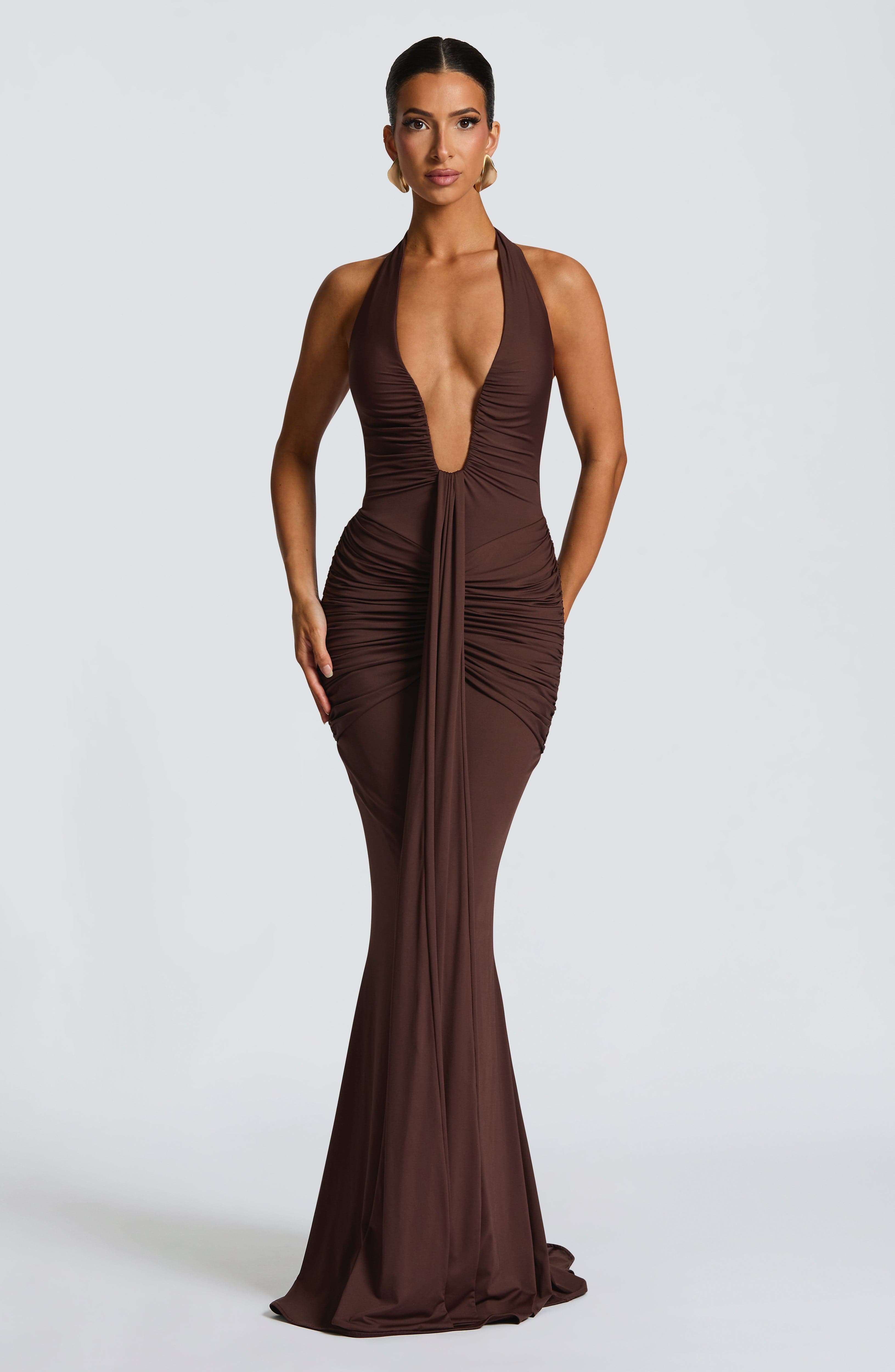 Rosetta Plum Brown Maxi Dress