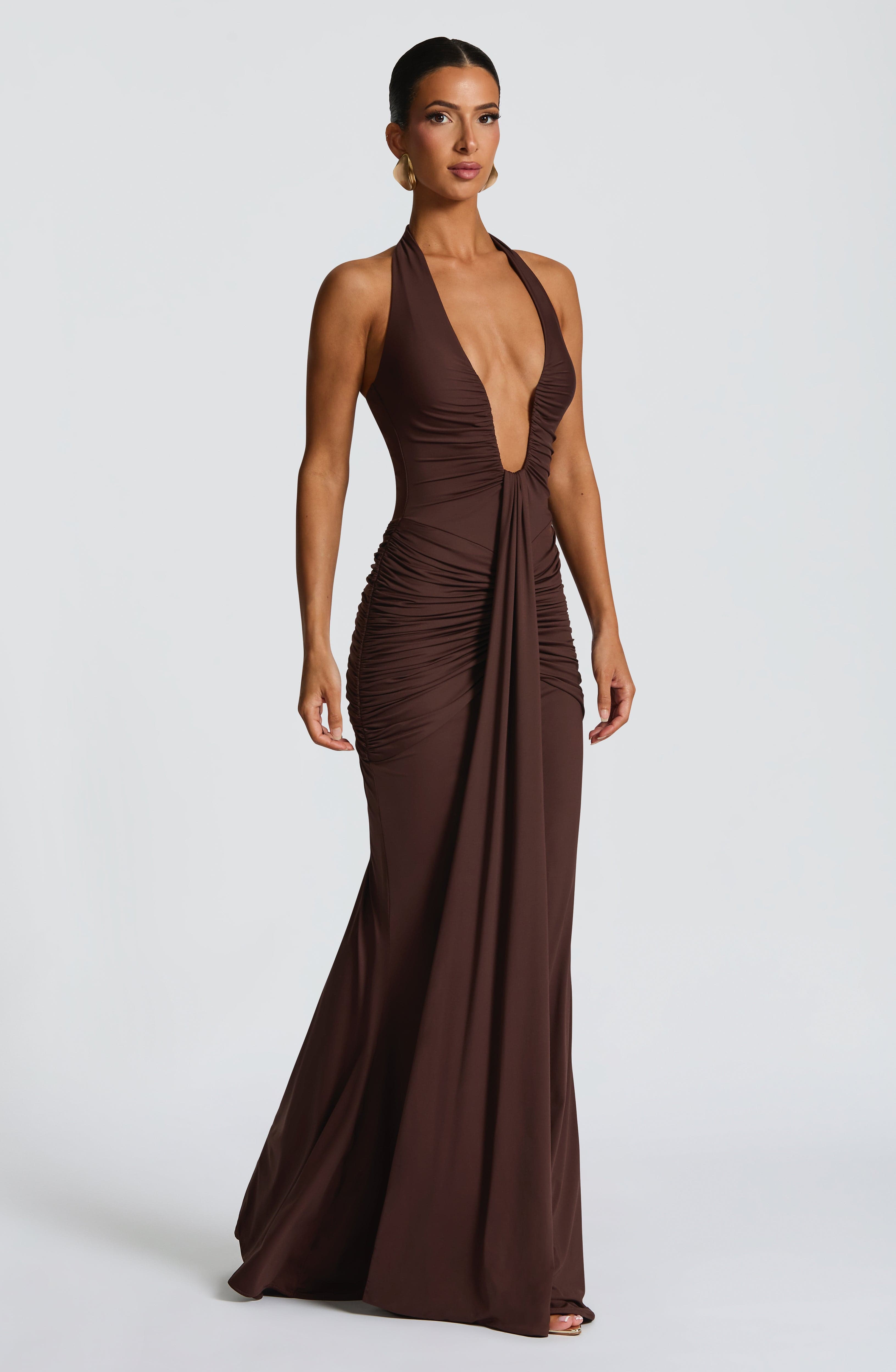 Rosetta Plum Brown Maxi Dress